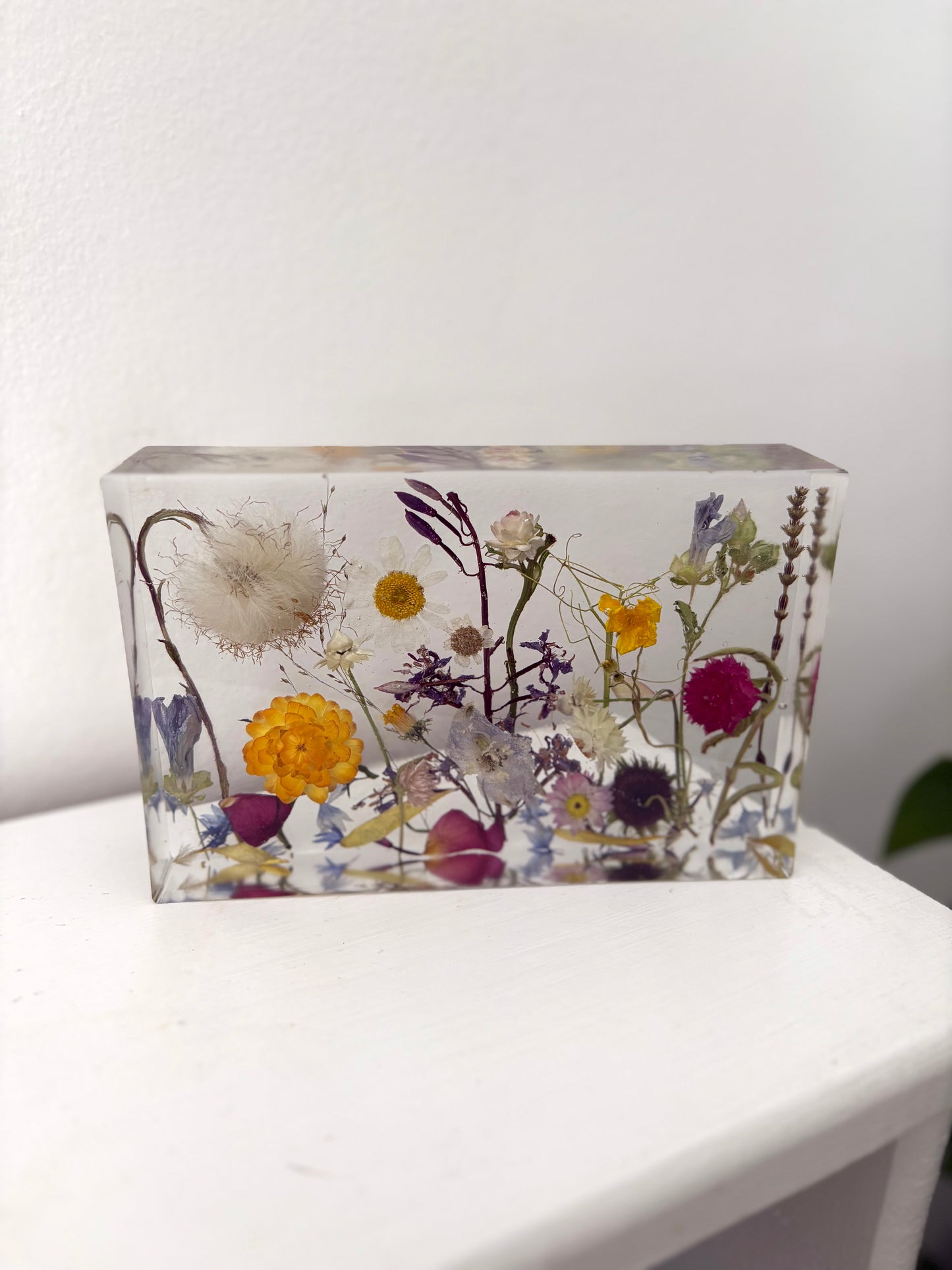 Rectangular Magic Garden nightlight