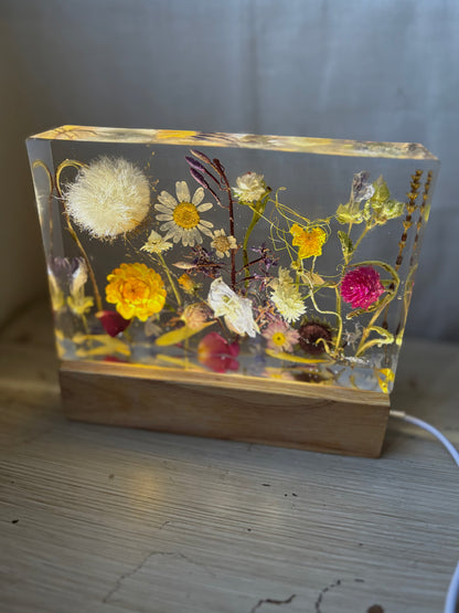 Rectangular Magic Garden nightlight