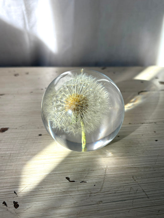 Sphere Dandelion nightlight