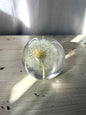 Sphere Dandelion nightlight