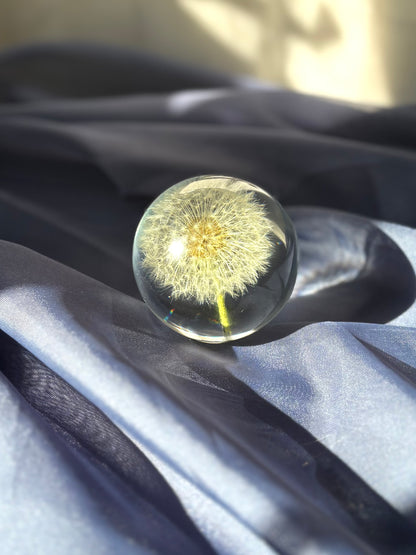 Sphere Dandelion nightlight