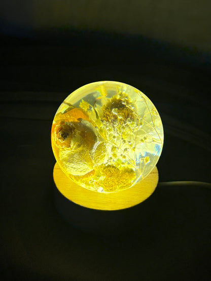 Sphere Yellow Rose nightlight